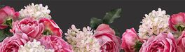 Pink roses and white hydrangea isolated on dark background. Floral banner, ... Von RinaM