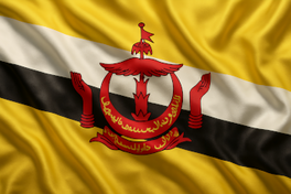 flag of Brunei Von Khan