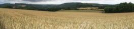 Landscape of Eifel area close to Bitburg, Germany, Europe Von alfotokunst