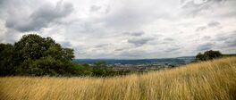 Panorama of city Merzig Von konzeptm