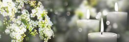 white flowering branch and 3 white candle lights outside in a garden, floral concept with burning candles decoration Von winyu