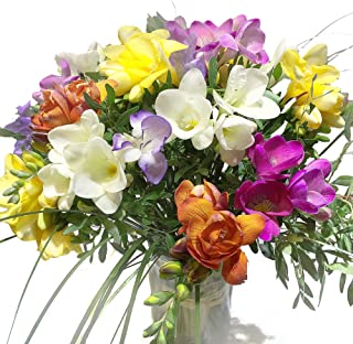 Geschenke Servicepoint - Angebote