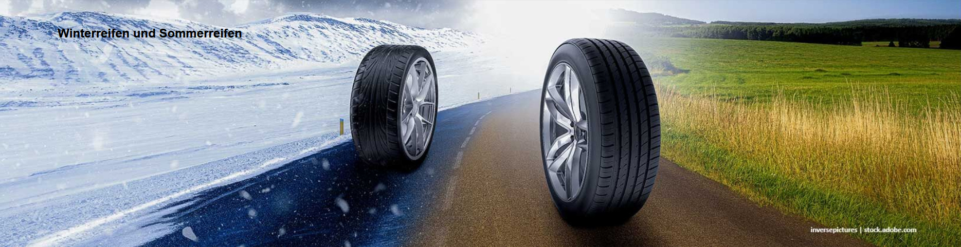 Goodwheel - Reifenshop Sommer- und Winterreifen Angebote